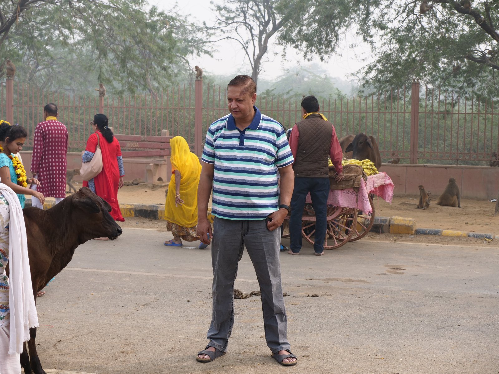  213 Gopashtami Radha kunda Govardhan 19.11.04